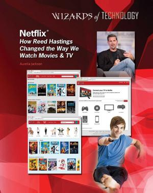 Cover of the book Netflix® by Barry Rubin