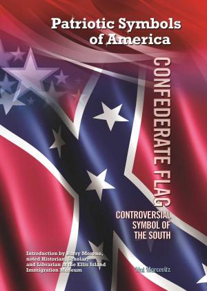 Cover of the book Confederate Flag by Michelle Quinby