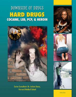 Cover of the book Hard Drugs by Jorge Arturo Miranda Bravo