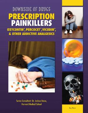 Cover of the book Prescription Painkillers by Elizabeth Levy Sad