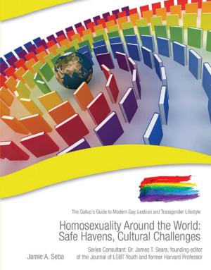 Cover of the book Homosexuality Around the World by Z.B. Hill