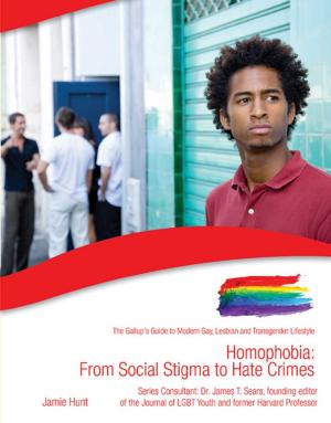 Cover of the book Homophobia by Gabrielle Vanderhoof