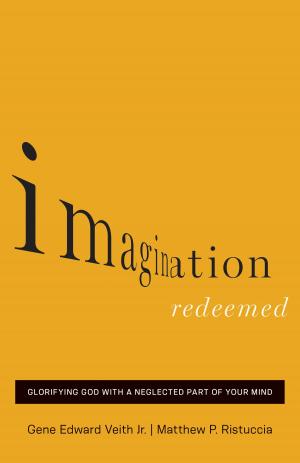 Cover of the book Imagination Redeemed by Jerry Bridges, Randy Alcorn, Helen Roseveare, John MacArthur, John Piper