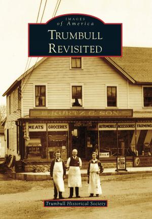 Cover of the book Trumbull Revisited by Lynda J. Russell