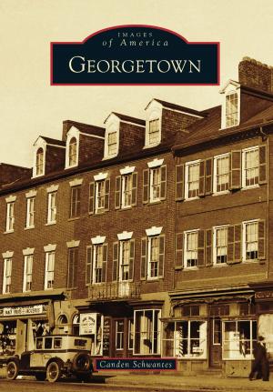 Cover of the book Georgetown by Aurolyn Melba Hamm