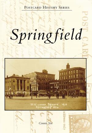 Cover of the book Springfield by Janice Oberding