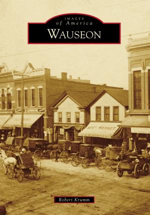 Cover of the book Wauseon by Martin Biniasz, Erie County Agricultural Society