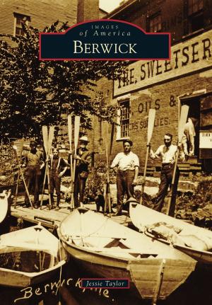 Cover of the book Berwick by Rob Hicks