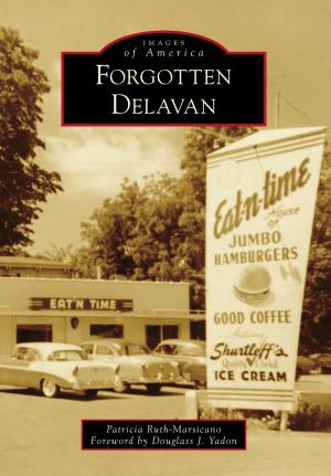 Cover of the book Forgotten Delavan by Bruce D. Heald Ph.D.