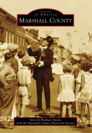 Cover of the book Marshall County by Richard Hansley