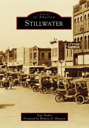 Cover of the book Stillwater by James Villanueva