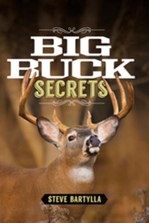 Cover of the book Big Buck Secrets by Stephanie van der Linden
