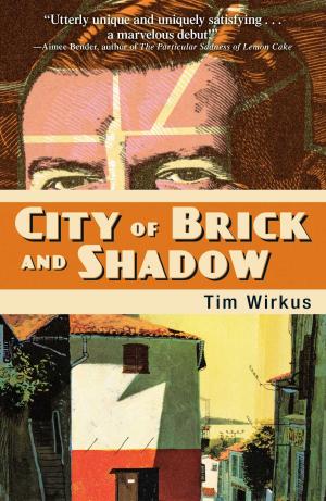 Cover of the book City Of Brick And Shadow by Ania Ahlborn