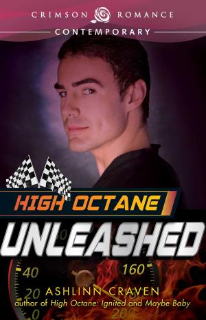 Cover of the book High Octane: Unleashed by Susan Blexrud