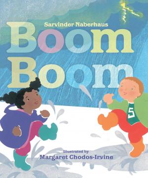Cover of the book Boom Boom by Douglas Florian