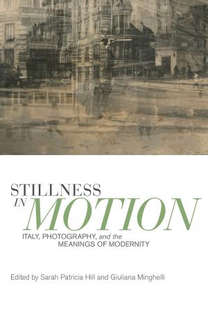 Book cover of Stillness in Motion
