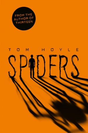 Cover of the book Spiders by Mary Hocking