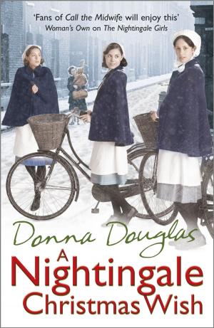 Book cover of A Nightingale Christmas Wish