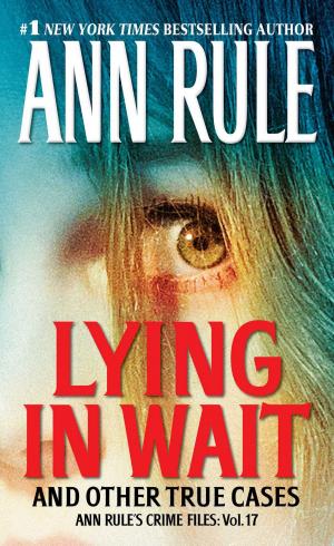 Cover of the book Lying in Wait by Stacey Jay