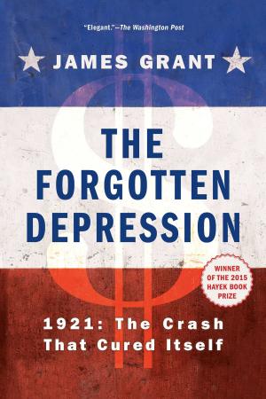 Cover of the book The Forgotten Depression by Barry Lancet