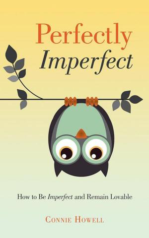 Cover of the book Perfectly Imperfect by Donna Dawley