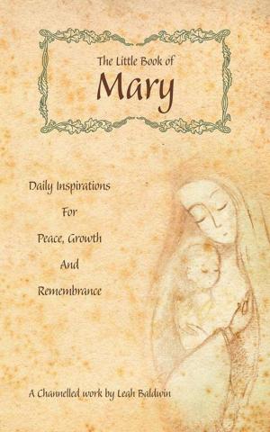 Cover of the book The Little Book of Mary by Edwin Louis Cole