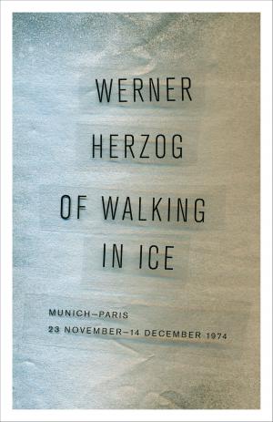Cover of the book Of Walking in Ice by Steve Baker