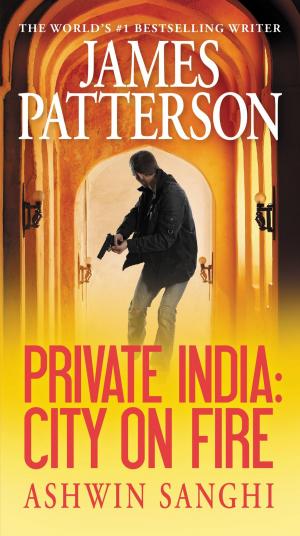 Cover of the book Private India: City on Fire by Bill Geist, Willie Geist
