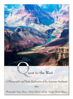 Cover of the book Quest To The West by John Schlarbaum