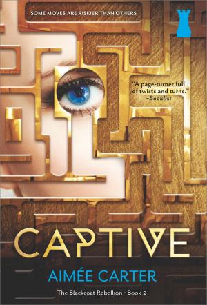 Cover of the book Captive by Chris Babu
