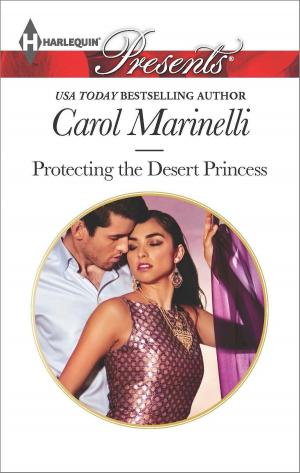 Cover of the book Protecting the Desert Princess by Scott R. Parkin