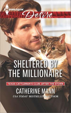 Cover of the book Sheltered by the Millionaire by Debbi Rawlins