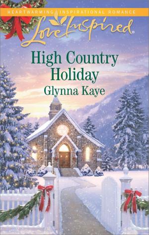 Cover of the book High Country Holiday by Anne Mather