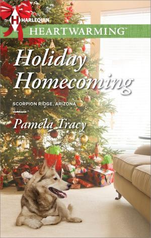 Cover of the book Holiday Homecoming by Joanna Neil