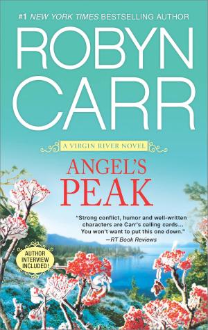 Book cover of Angel's Peak