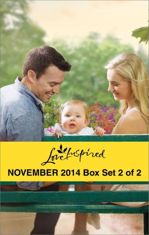 Book cover of Love Inspired November 2014 - Box Set 2 of 2