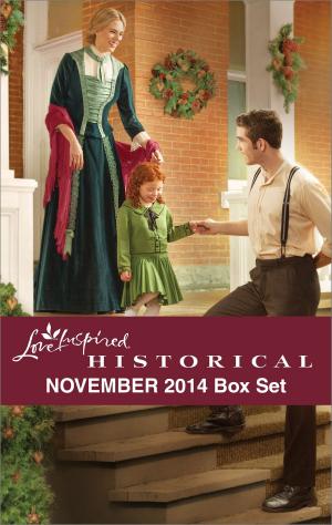 Cover of the book Love Inspired Historical November 2014 Box Set by Cheryl Zach
