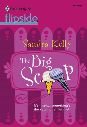 Cover of the book The Big Scoop by Carolyn Andrews