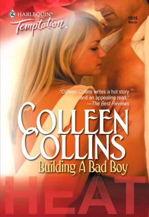 Cover of the book Building a Bad Boy by Patricia Knoll