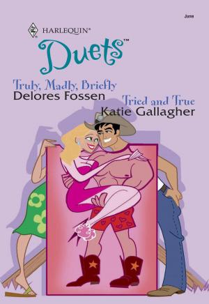 Cover of the book Truly, Madly, Briefly & Tried and True by Jill Kemerer