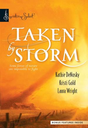 Cover of the book Taken By Storm by Sheri WhiteFeather