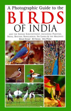 Book cover of Photographic Guide to the Birds of India