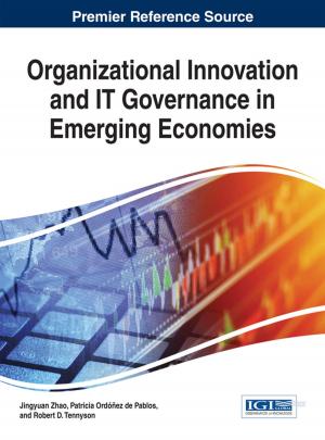 Cover of the book Organizational Innovation and IT Governance in Emerging Economies by 