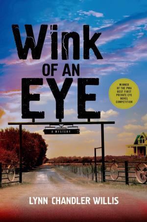Cover of the book Wink of an Eye by Joan Hess