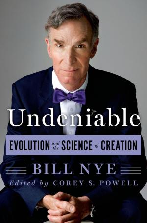 Cover of the book Undeniable by Robin Lewis, Michael Dart