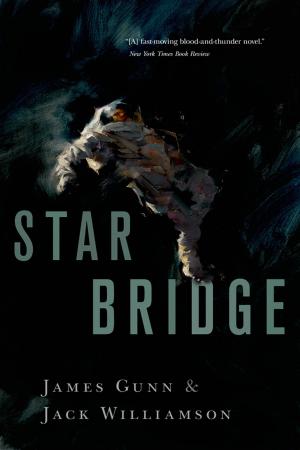 Cover of the book Star Bridge by Martha Wells