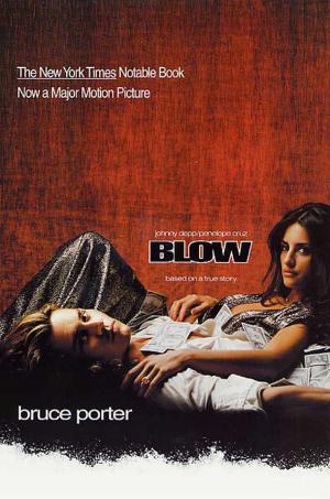 Cover of the book BLOW by Tom Perrotta