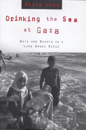 Cover of the book Drinking the Sea at Gaza by Nathan Thrall