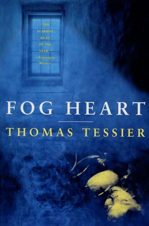 Book cover of Fog Heart