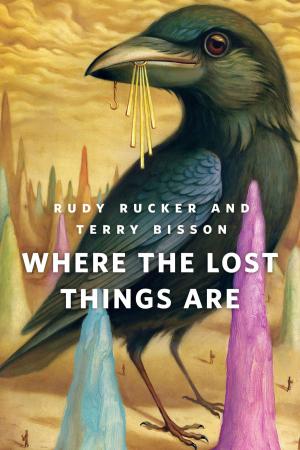 Cover of the book Where the Lost Things Are by Damien Broderick